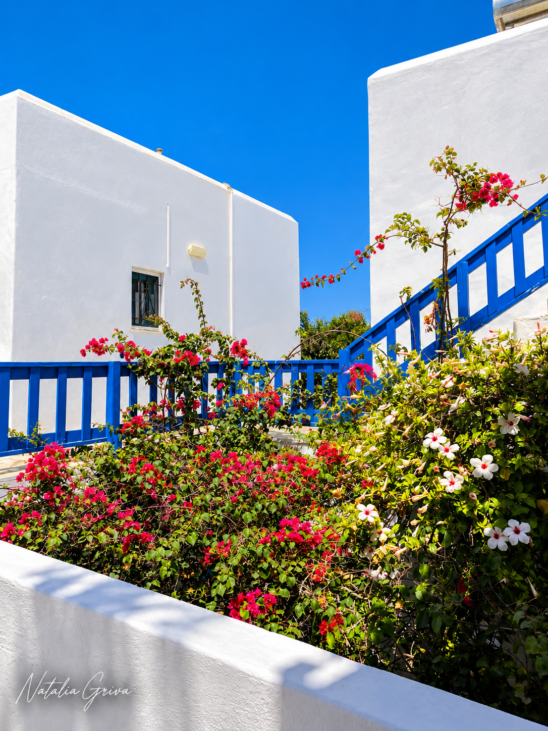 Paros - Flowers — Art Print · Greek Summer